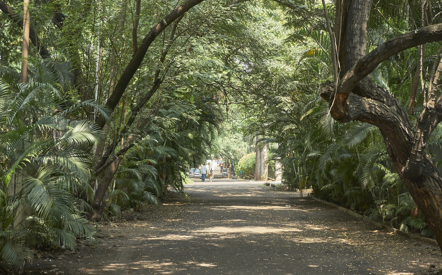 Koregaon park